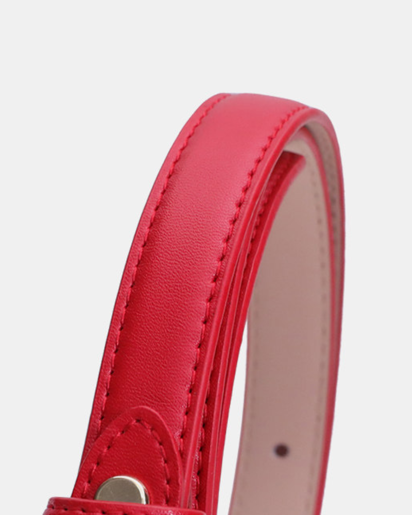Accent Leather Belt - BE014